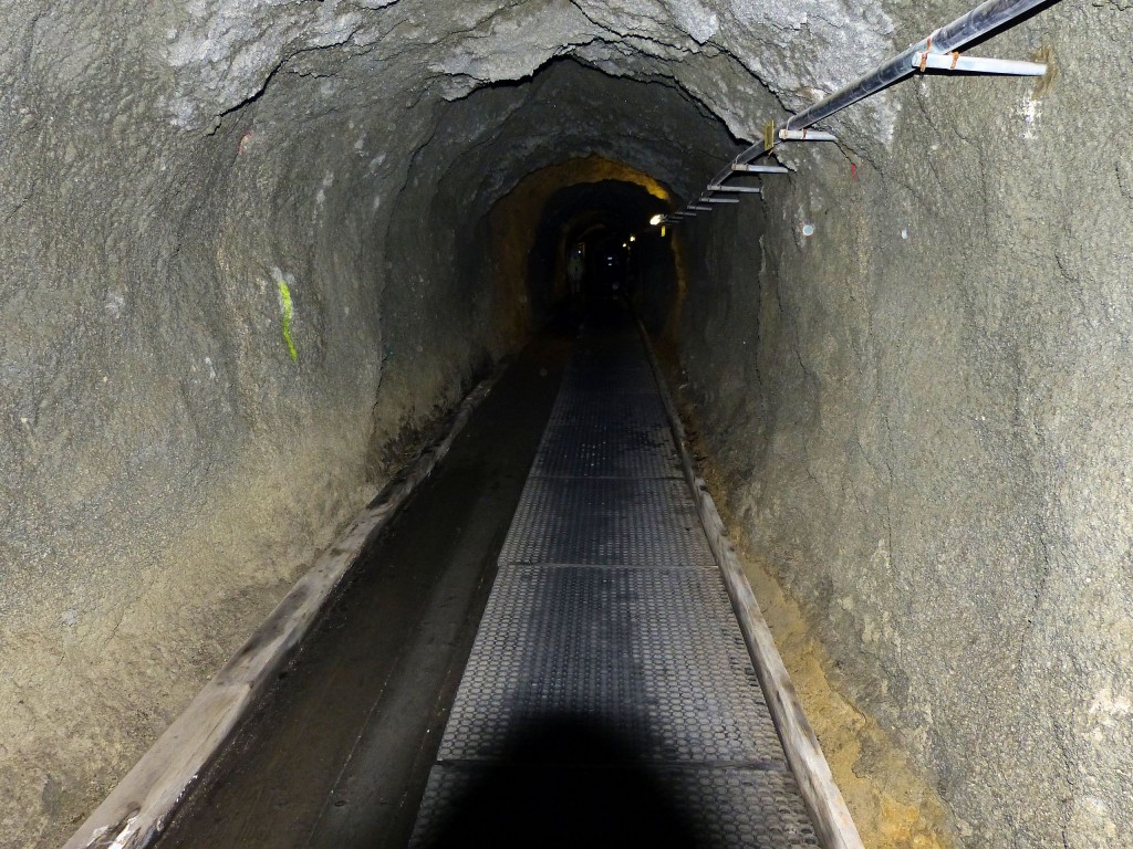 Dammkar Tunnel 450 m